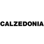 Všetky zľavy Calzedonia